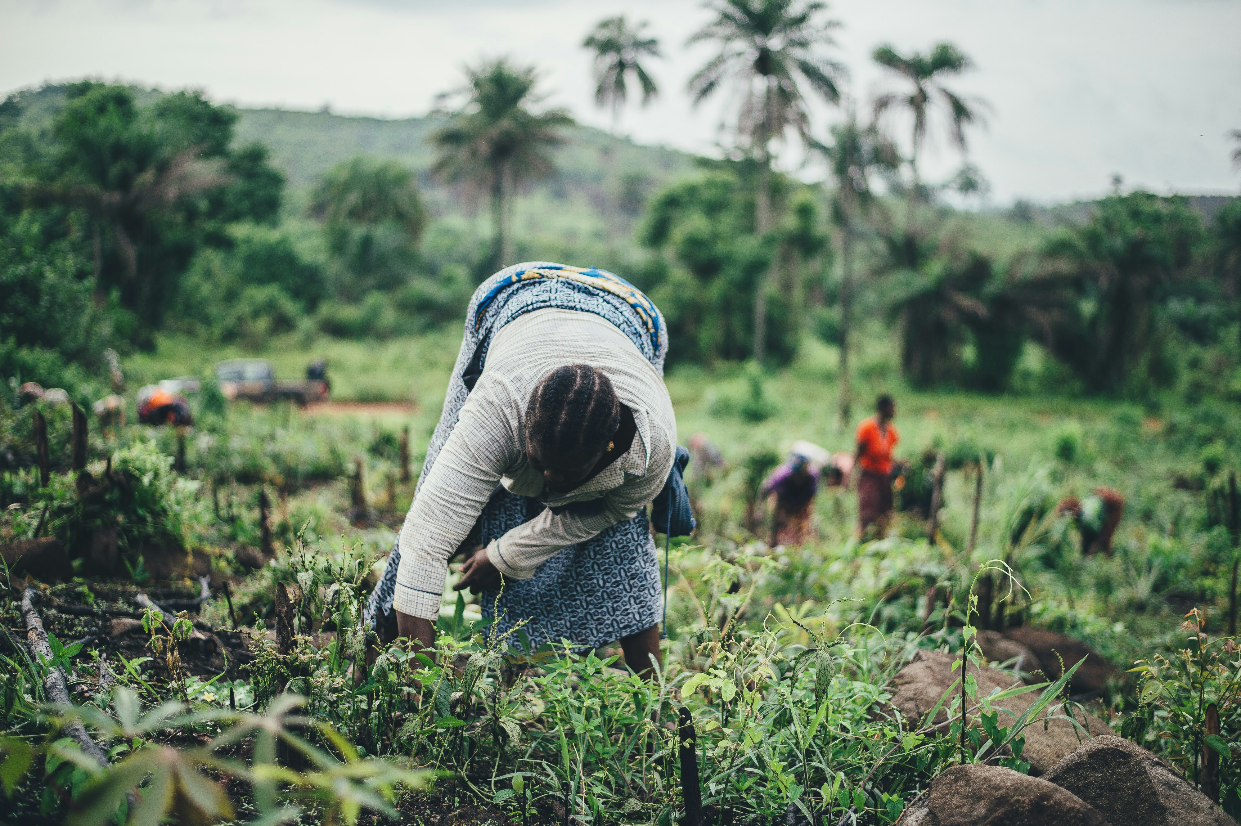 Sustainable Agricultural Training on site